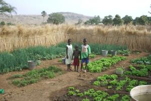 Mali- Progetto di approvvigionamento idrico