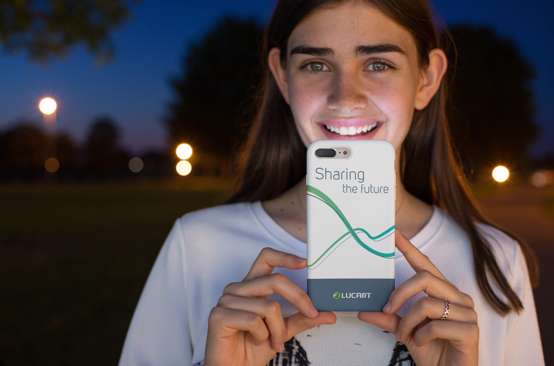 Lucart Group project