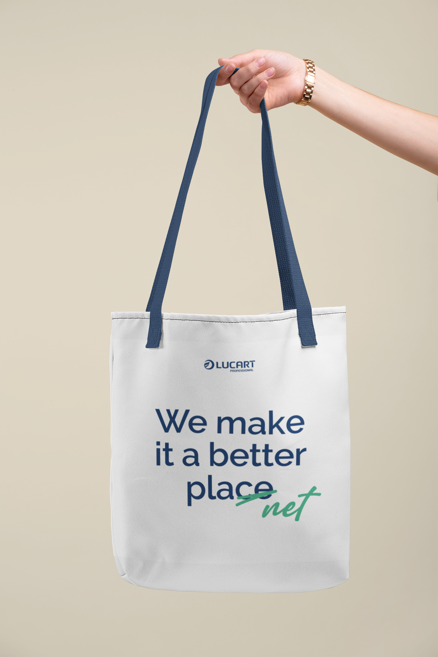 Lucart Professional project