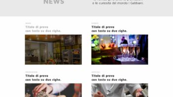 5 news 1 i gabbiani cut