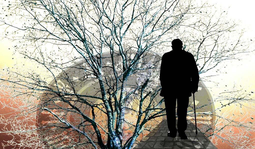 Immagine: Alzheimer