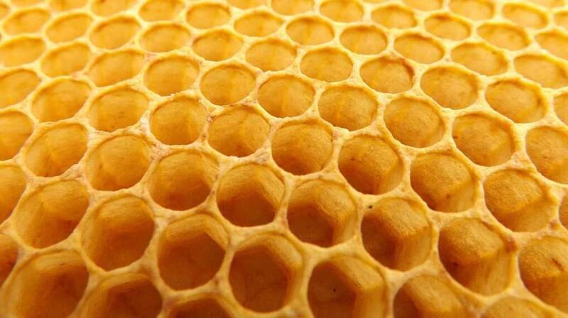 Immagine: Bando Apistico