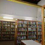 Immagine: biblioteca6