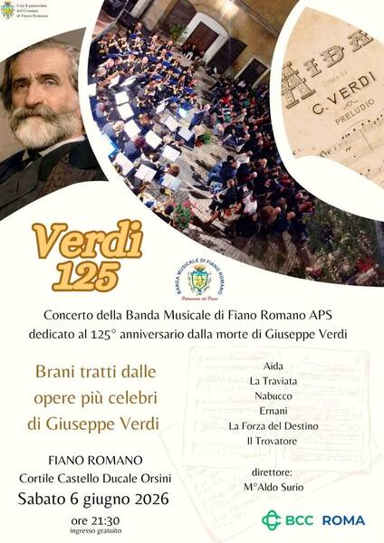 Immagine: concerto verdi