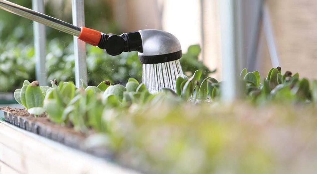 Immagine: Consumo idrico