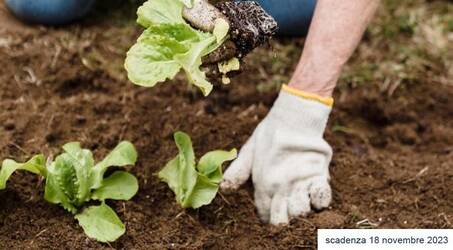 Immagine: Contributo imprese agricole