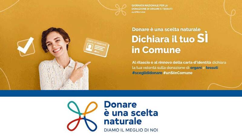 Immagine: Donazione