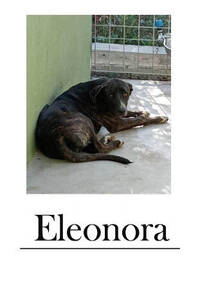 Immagine: eleonora-sito