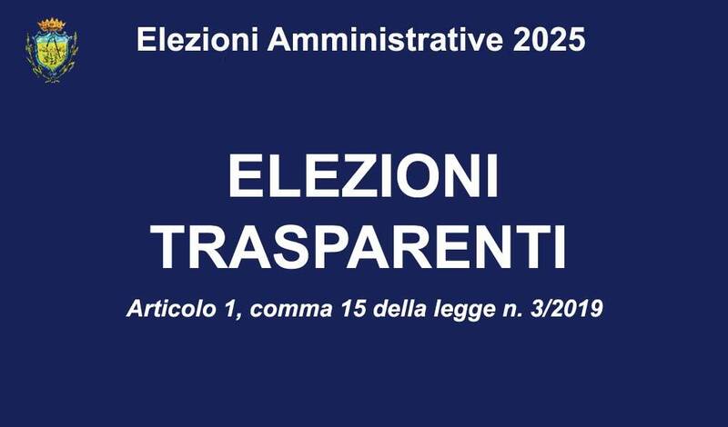 Immagine: elezioni