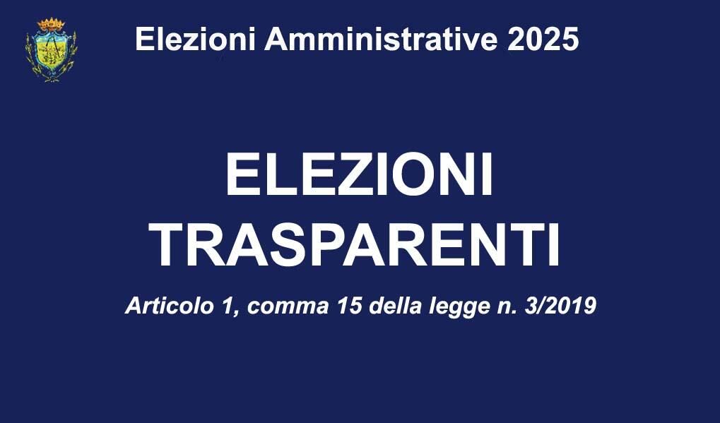 Immagine: elezioni