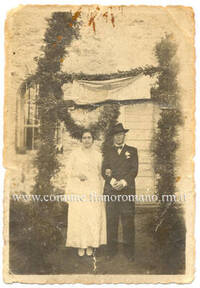 Immagine: foto138_g_20121115_1171263848