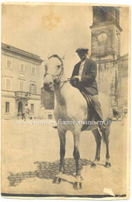 Immagine: foto338_g_20121115_1766703290