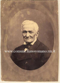 Immagine: foto533_g_20121115_1637741207