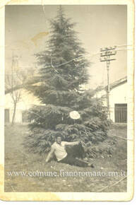 Immagine: foto561_g_20121028_1446744174