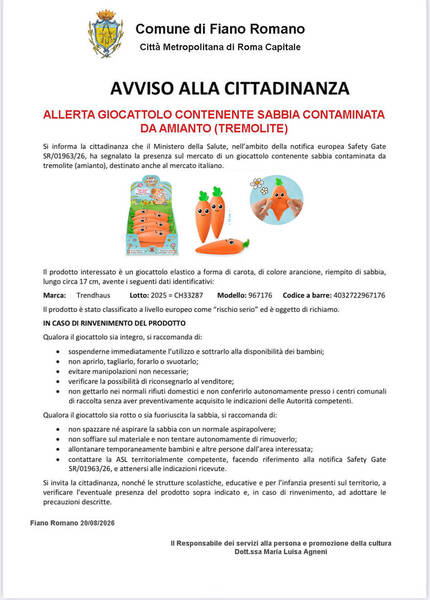 Immagine: giocattolo contaminato
