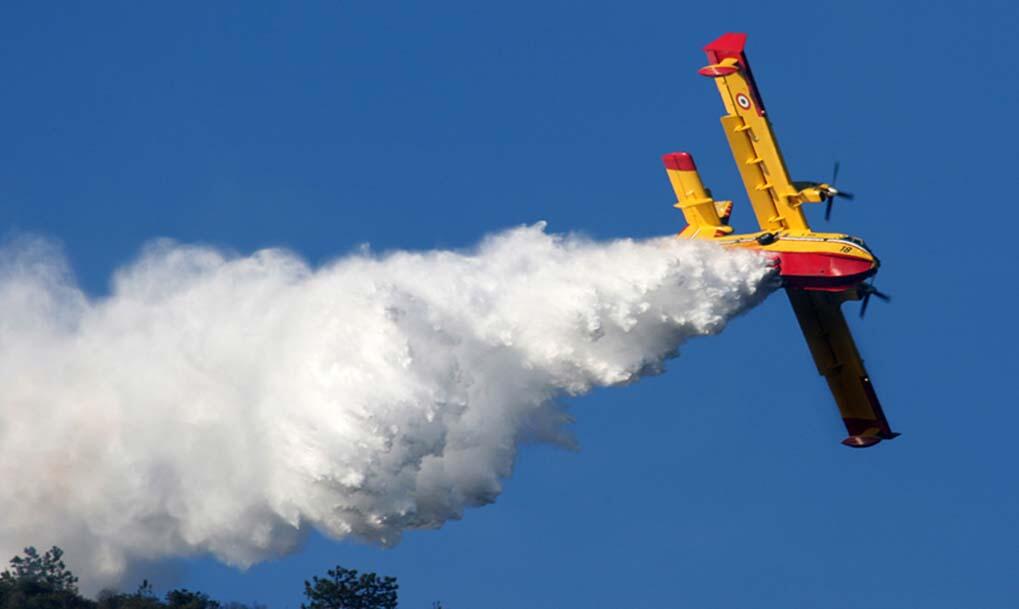 Immagine: Incendi Boschivi