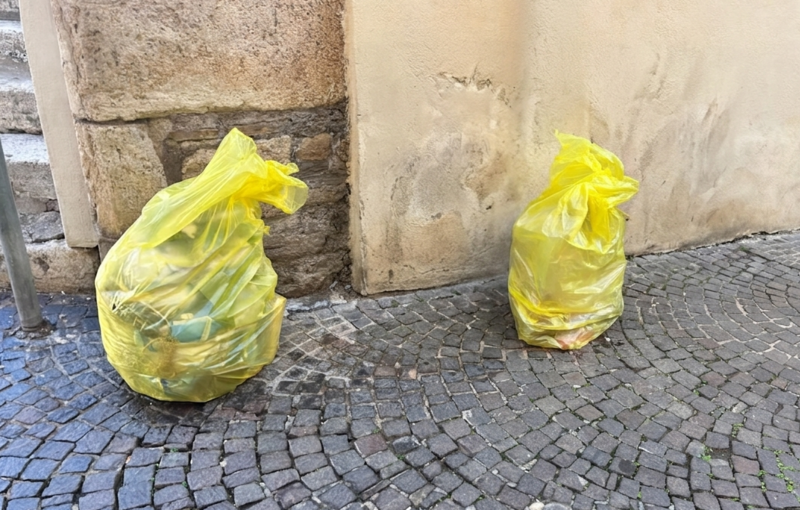 Immagine: raccolta plastica