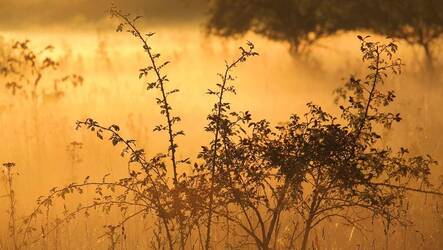 Immagine: rischio incendi
