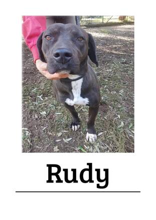 Immagine: Rudy