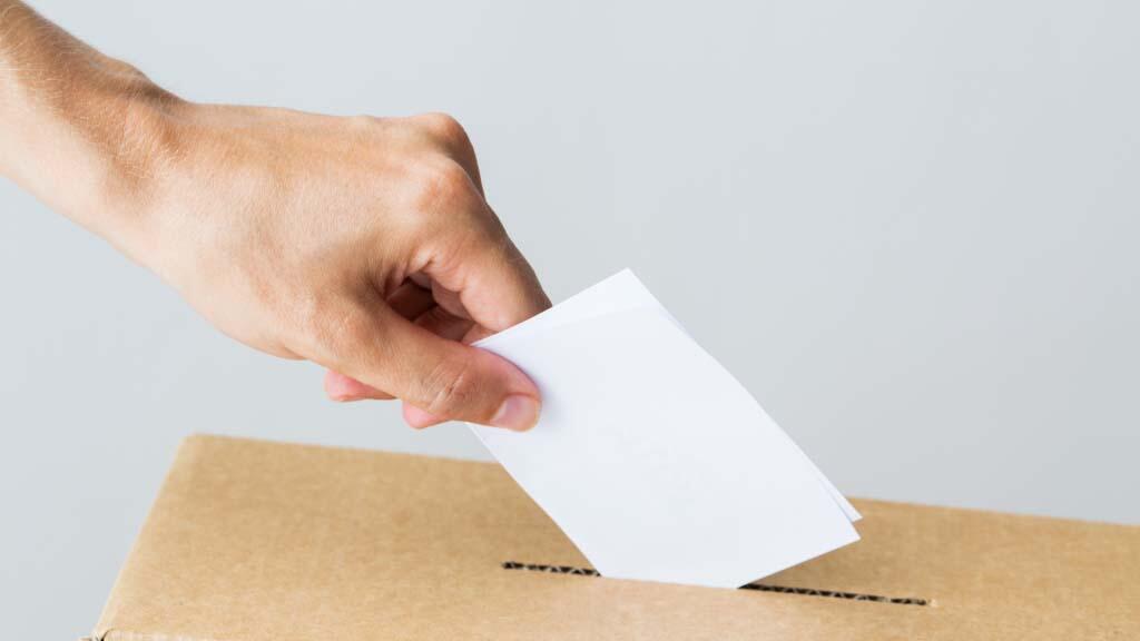 Immagine: voto
