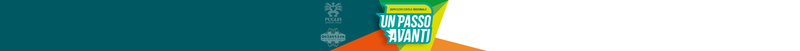 Immagine: Banner servizio civile