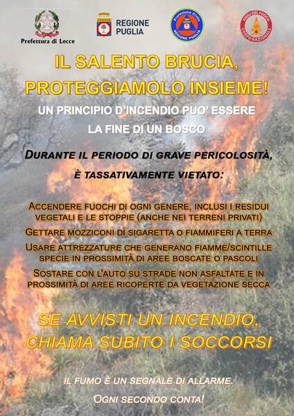 Immagine: INCENDI