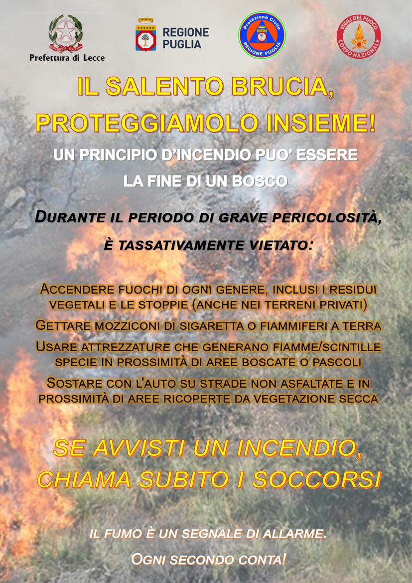 Immagine: INCENDI