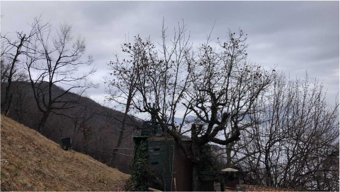 Immagine: CAPANNO DOSSO DELLE SLASSE