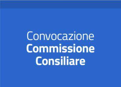 Immagine: Commissione Consiliare