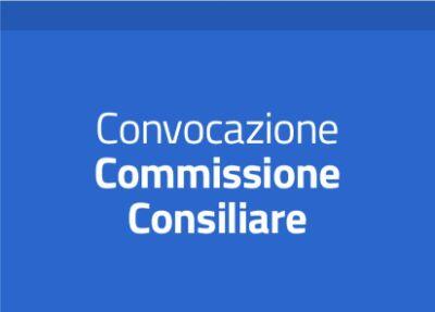 Immagine: Commissione Consiliare