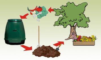Compost
