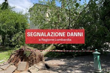 Immagine: danni