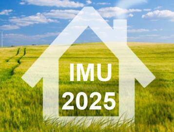 IMU