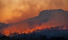 Immagine: incendi boschivi