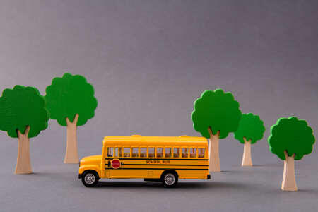 Immagine: ORARIO PROVVISORIO SCUOLABUS SCUOLA DELL'INFANZIA