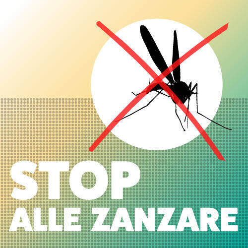 Immagine: Zanzara