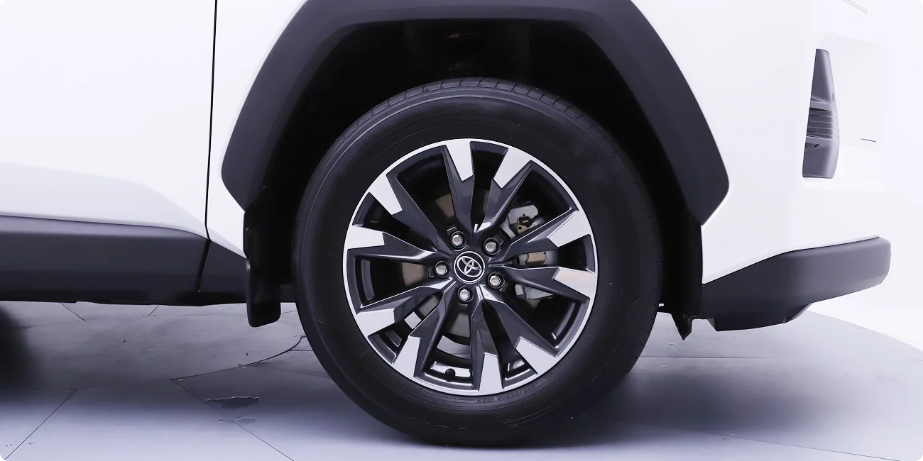 Elevated Stance img