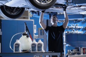 zf olio trasmissione repair