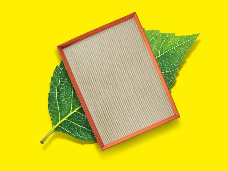 MANN-FILTER amplia la gamma prodotti realizzati con materia prima di origine vegetale