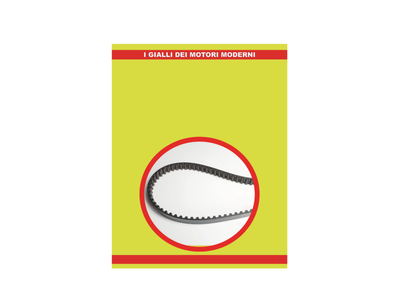 Lo STRANO CASO della cinghia a bagno D’OLIO