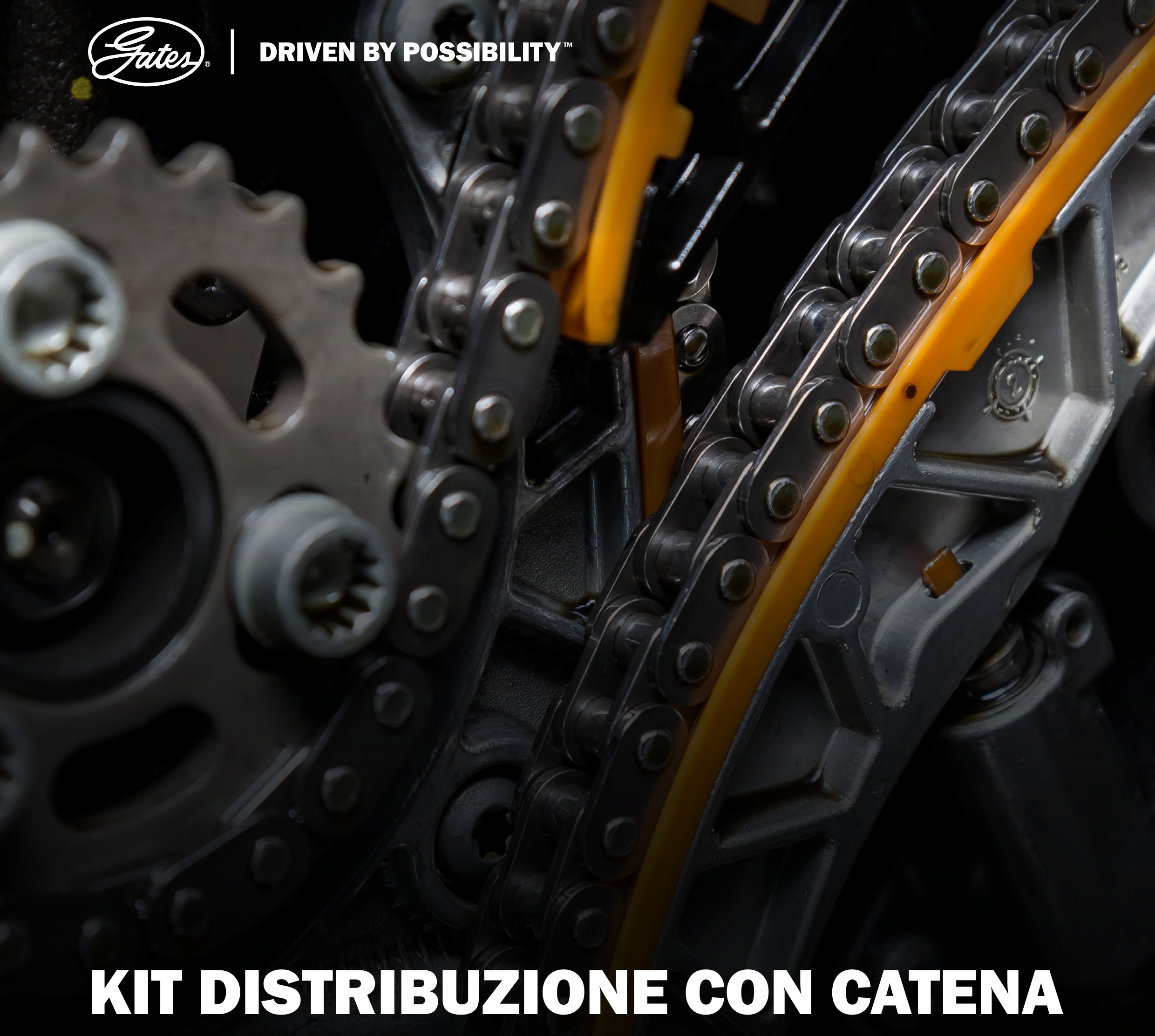 Kit Catena Distribuzione GATES Catalogo Online E Tabella A Buon