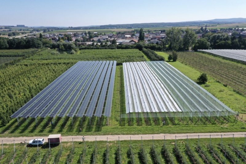 Agrivoltaico: sinergie tra energia e agricoltura