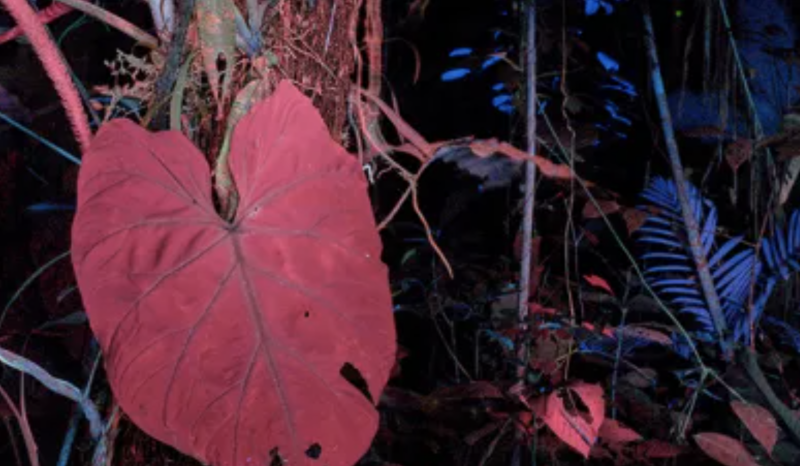 La climatizzazione al fianco dei Sony World Photography Awards 2026