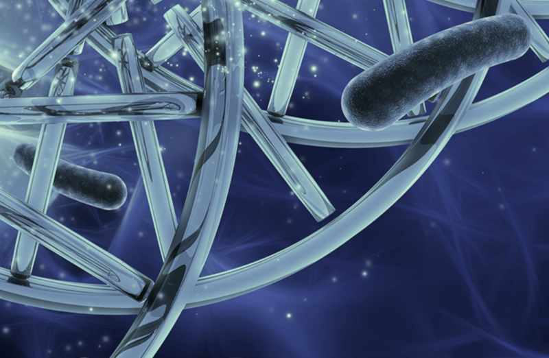 Prevenzione Legionella: negli ultimi anni migliaia di casi in Italia