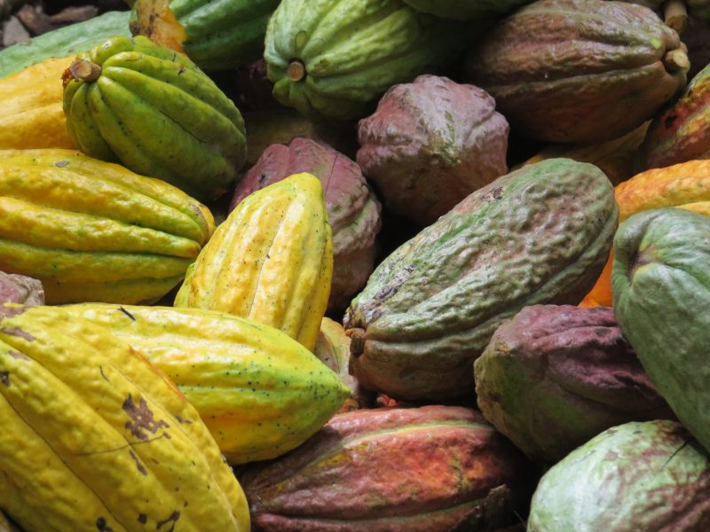 Guido Gobino: sostenibilità e inclusione al centro del cioccolato d’eccellenza