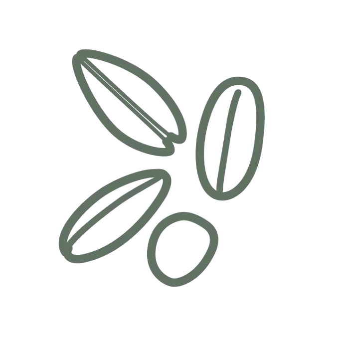 icone_Lievito madre caratteristiche_1 colore copia 7