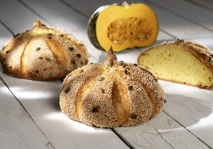 Panzucca zucca