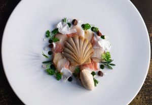 Verso Ristorante Milano piatto