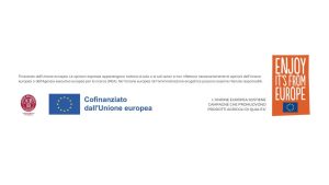 ACETO BALSAMICO DI MODENA IGP progetto