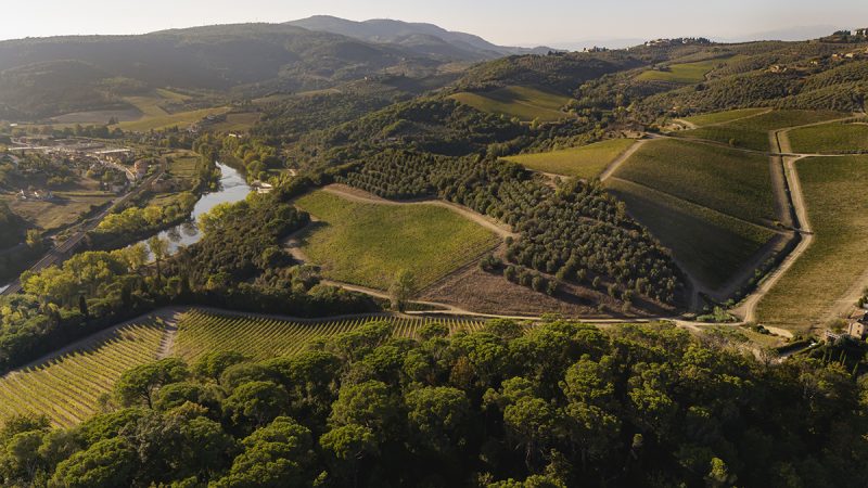 Artimino, i “diversamente autoctoni” e la nuova grammatica del territorio